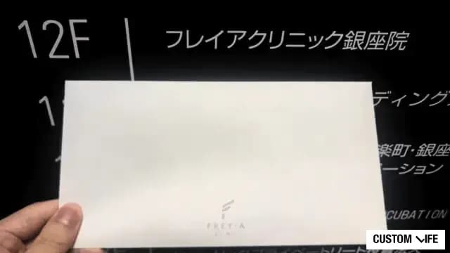 フレイアを潜入調査している様子
