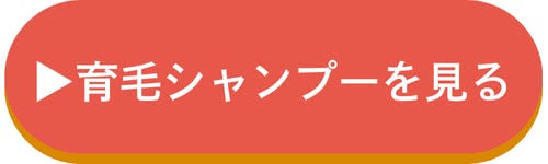 育毛シャンプーへのボタンリンク