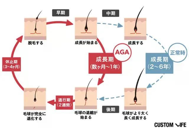 ヘアサイクル