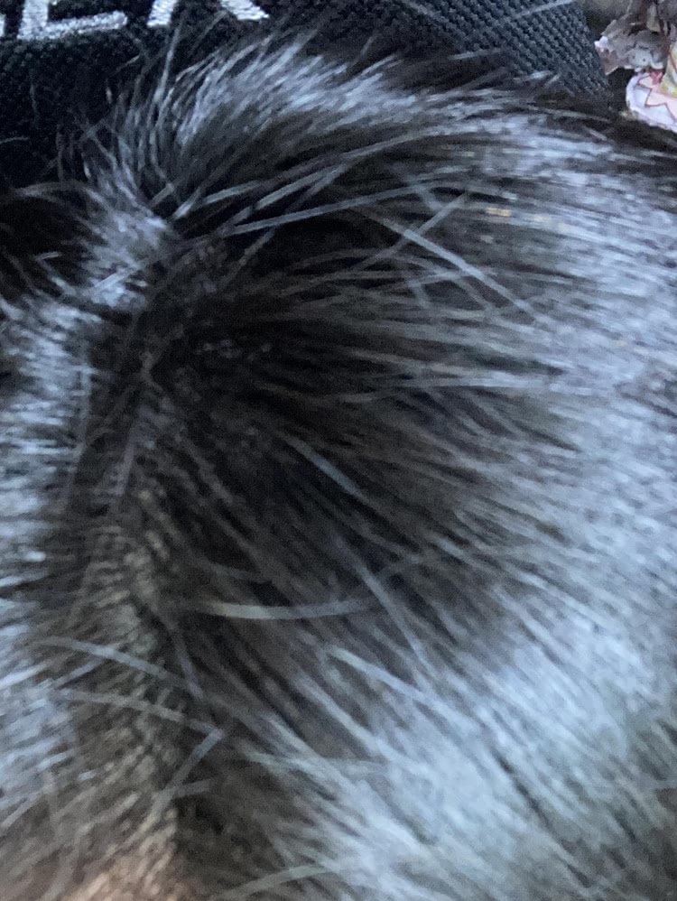 奇跡の歯ブラシ,口コミ,口コミ回答者