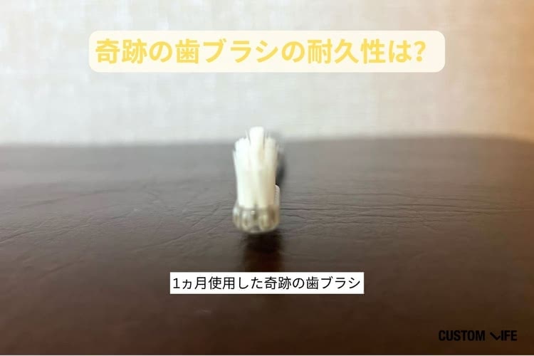 奇跡の歯ブラシ 口コミ,耐久性に関する検証