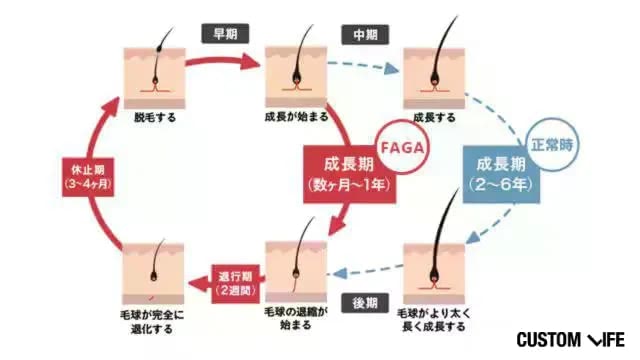 FAGAヘアサイクル