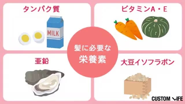 抜け毛を防ぐ栄養素