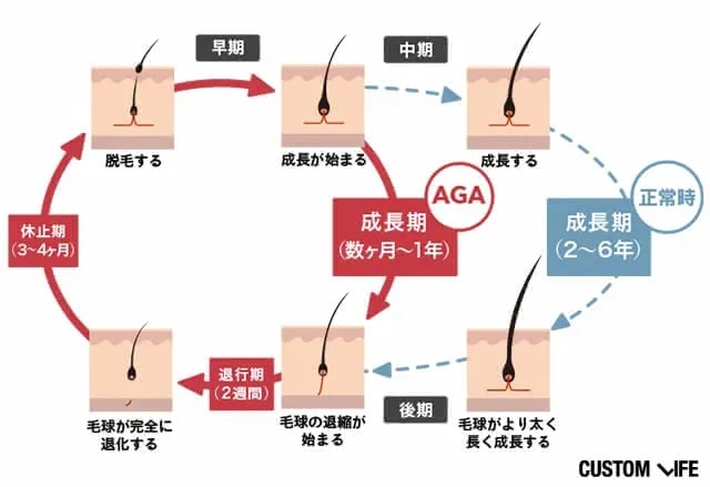 ヘアサイクル