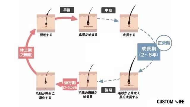 ヘアサイクル