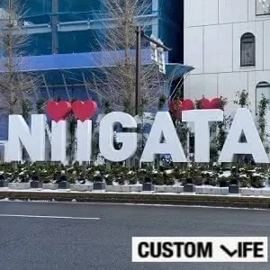新潟のメンズ・ヒゲ脱毛店