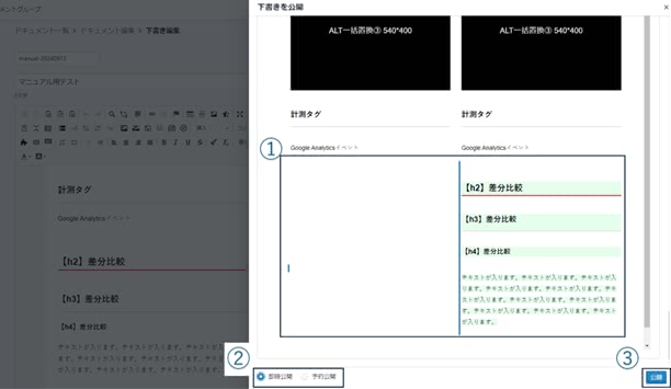 記事公開のプレビュー画面
