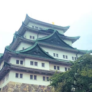 名古屋のおすすめメンズ脱毛店