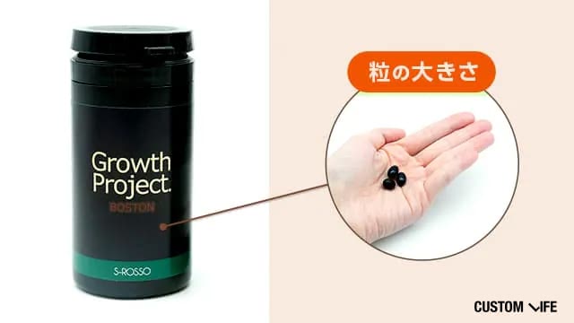 グロースプロジェクト　ボストン