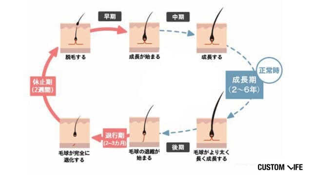 ヘアサイクルの写真